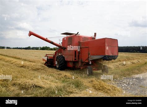 Combine Harvester At Work On Polish Farm Field Cutting And Packaging