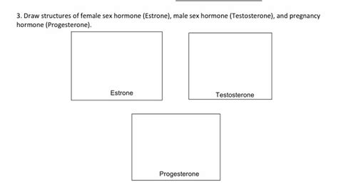 Solved Draw Structures Of Female Sex Hormone Estrone Male Free
