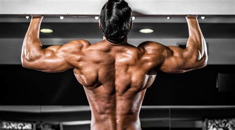 Muscles make up about half the body's. Muscle Building Tips: 7 Reasons You're Not Getting Bigger | Muscle & Fitness