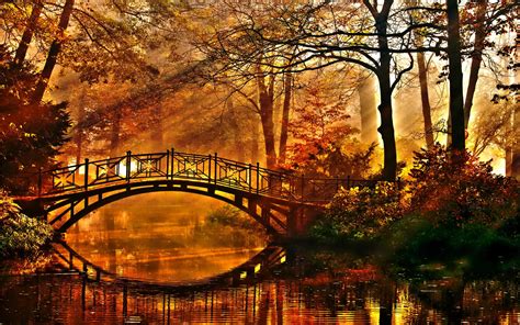 An Autumn Bridge In Sunbeams Autumn