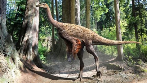 Giant Ostrich Like Dinosaur And Its Smaller Cousin Roamed Mississippi
