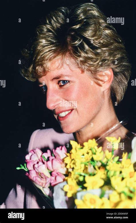 Princess Diana Style Icon Hi Res Stock Photography And Images Alamy