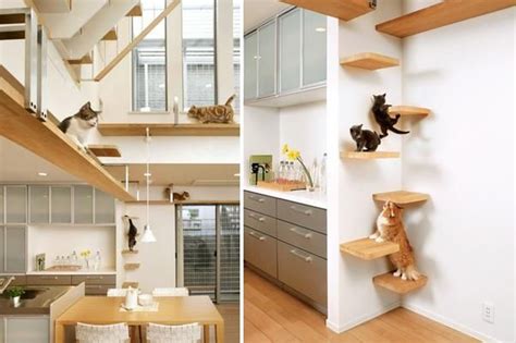 The Ultimate Cat Friendly Homes Cat Shelves Cat House Diy House