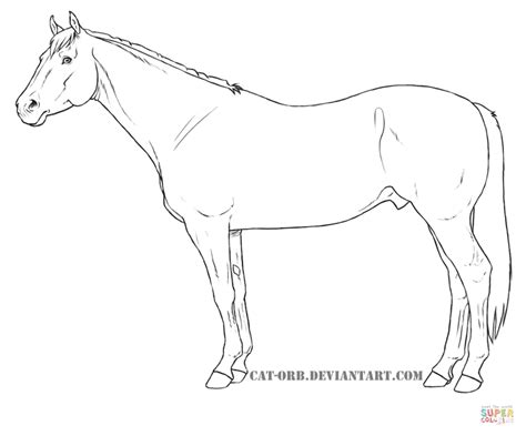 Even, you can create it realistic, printable, and free. Kolorowanka Quarter horse | Kolorowanki dla dzieci do druku