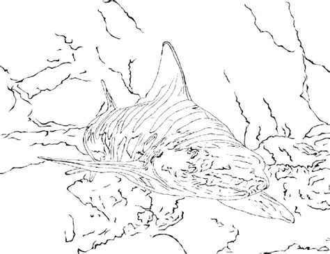 This book different from fist one and made in fantasy vintage. Sharkboy And Lavagirl Drawing at PaintingValley.com ...