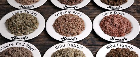Fresh food means real ingredients you can actually see in your dog's bowl. Range • Honey's Real Dog Food