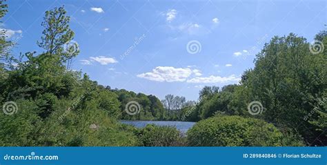A Quiet Lake In Germany Surrounded By Trees Forest And Bushes