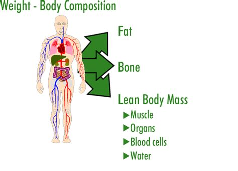 Even though people may not lose weight, they could be adding lean muscle. Dr. J's SOAP Notes