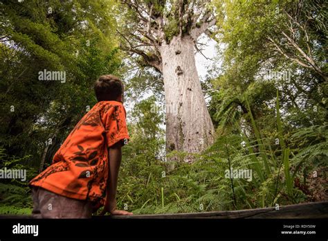 A Young Model Released Boy Who Is Named After The Tree And The Maori