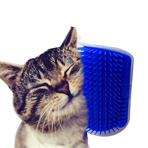 Pet Products Cats Supplies Cat Massage Device Self Groomer With Catnip