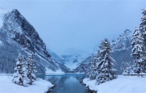 Winter Snow Trees Mountains Lake Ate Canada Albert Banff