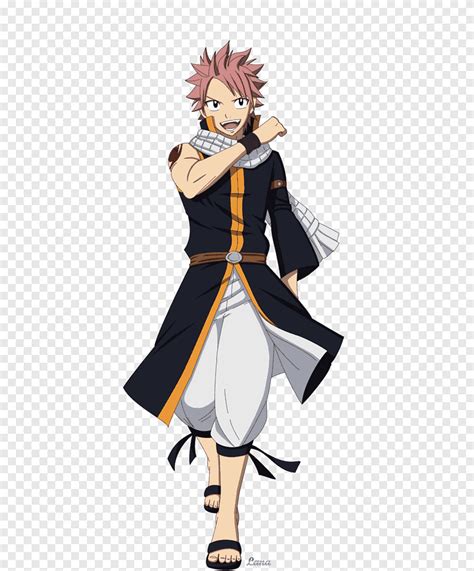 Natsu Dragneel Gray Fullbuster Erza Scarlet Fairy Tail Cosplay Fairy