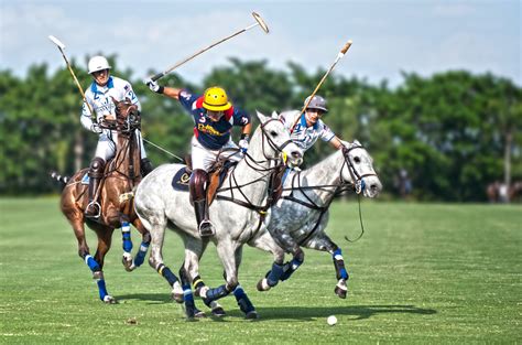 The match will begin in Polo Match Benefiting the Trent Digiuro Foundation ...