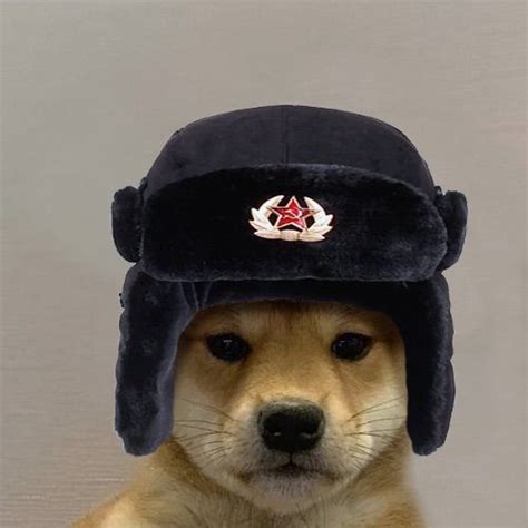 Dog Wif Hat Soviet Cute Dog Icon Aesthetic Dog Icon Doge Dog