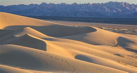 Sand dunes repel each other as they move across a landscape - Physics World