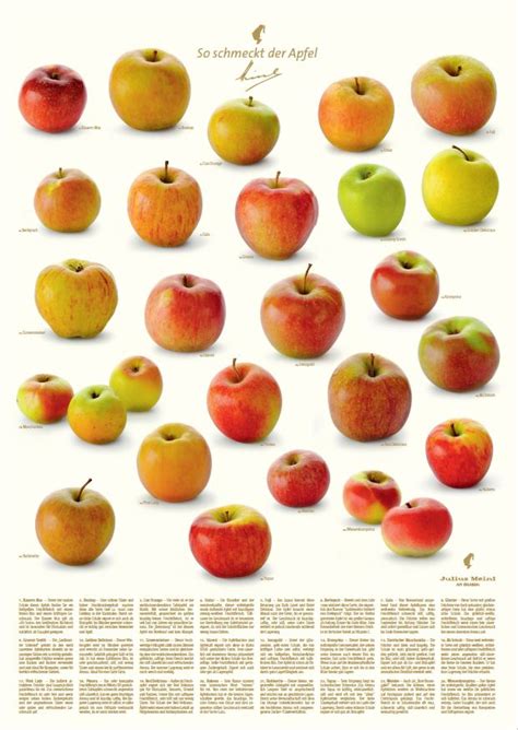 Maybe you would like to learn more about one of these? Form, Farbe, Konsistenz und Geschmack sind bei jeder ...