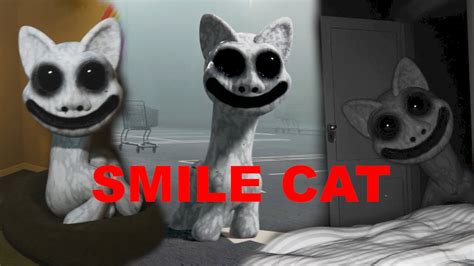Smile Cat Compilation Youtube