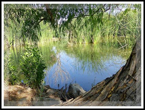 Kens Photo Gallery Clark County Wetlands Park And Nature Preserve