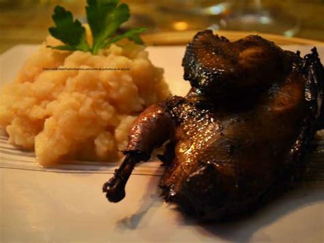 Recettes de Salmis de palombe