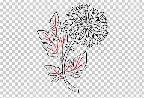 Floral Design Chrysanthemum Manual Of The Mustard Seed Garden Line Art Drawing Png Clipart