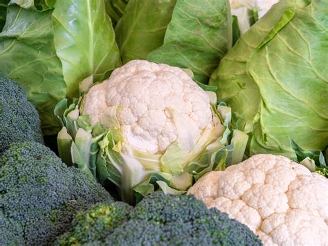Cruciferous Vegetables The Good The Bad And The Gas Easy Health