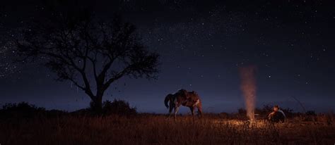 Discover some of the greatest 4k wallpapers for your desktop or phone. Red Dead Redemption 2's PC Trailer Looks Majestic At 4K ...