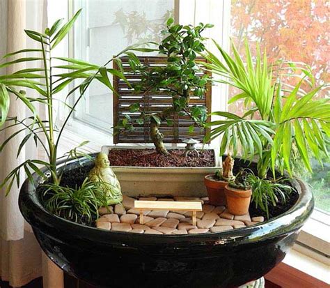 How To Choose Plants For Miniature Gardens