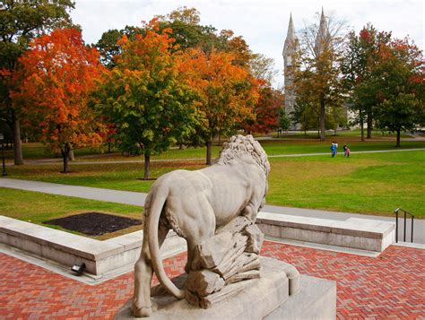 Bowdoin College Admissions Sat Scores Tuition And More