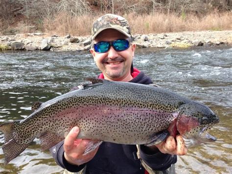 8 Best Lakes And Rivers For Trout Fishing In Oklahoma Where To Fish Ok