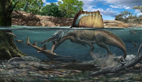 Biggest Meat Eating Dinosaur That Ever Lived Hunted Underwater Trendradars