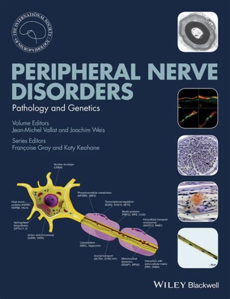 Peripheral Nerve Disorders Pathology And Genetics Edition 1 By Jean