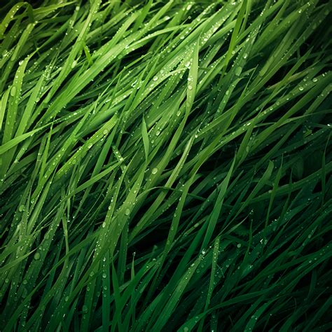 Grass Texture By Piximi On Deviantart