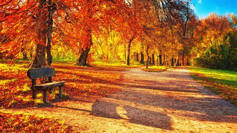 24 Fall Wallpapers Backgrounds Images Pictures