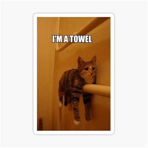 Im A Towel Funny Cat Meme Sticker For Sale By Pusla Redbubble