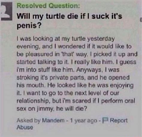 Resolved Question Will My Turtle Die If I Suck Its Penis I Was