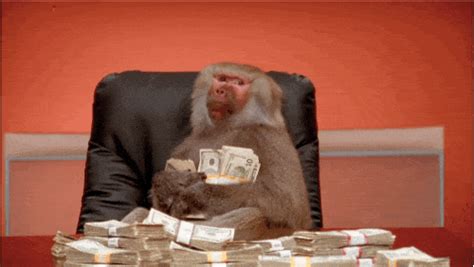 Traditional works of art such as paintings are valuable because they are one of a kind. Monkey Makes $34 Million In Stock Market From A $5 ...
