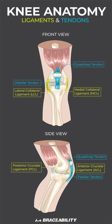 How To Use Kt Tape For Back Of Knee Pain Brandon Orthopedics