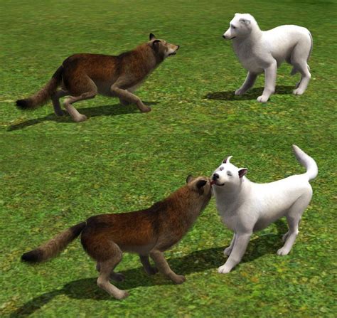 Mod The Sims Wolves For Your Sims