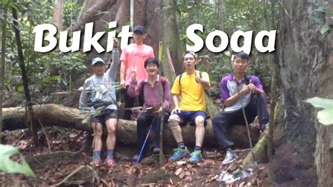 Look up for the schedule and routes. Batu Pahat Jungle Trekking Bukit Soga+Historical Heritage ...