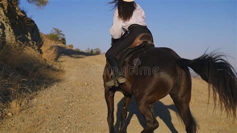 Young Slim Woman Mounting Horse And Purebred Animal Galloping With