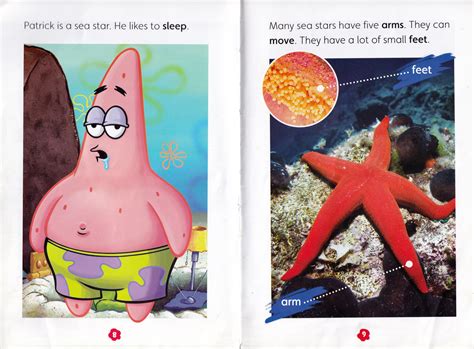 Sea Star Encyclopedia Spongebobia Fandom
