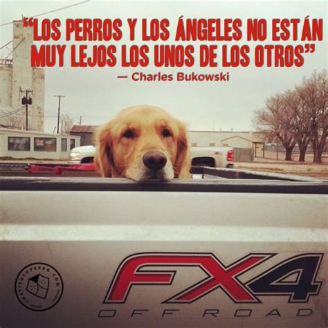 10 Frases Increíbles Sobre Perros Instituto Perro Animales Frases