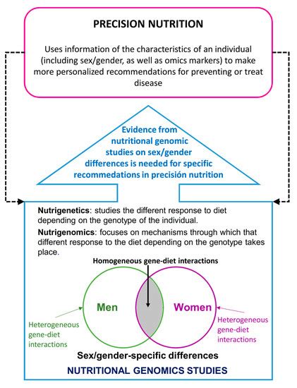Nutrients Free Full Text A Guide To Applying The Sex Gender