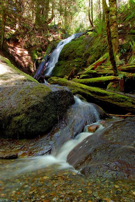 Coal Creek Falls Cougar Mountain Wa John Reitenbach Flickr