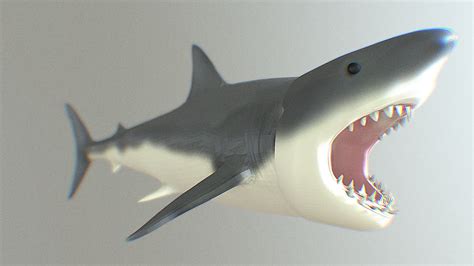 Great White Shark 3d Model Download Free 3d Model By Canyutsai