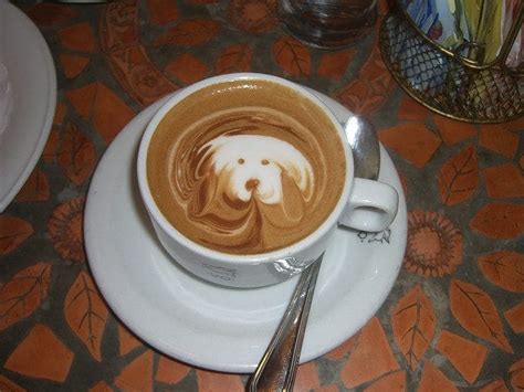 How To Mix Dogs And Coffee Without Killing Your Pets Perfect Daily Grind