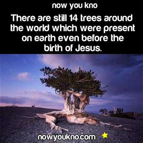 Random Pictures Of The Day - 40 Pics | Fun facts, Funny facts, Weird facts