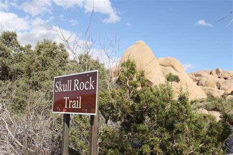 Skull Rock Joshua Tree National Park