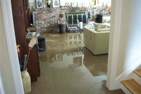 Best Flooring For Basement That May Flood Flooring Site