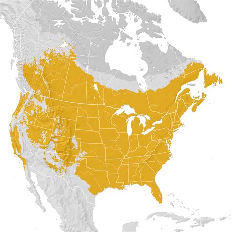 American Crow Range Map Pre Breeding Migration Ebird Status And Trends